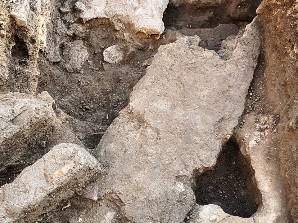 Dettaglio di uno dei saggi indagati nel 2020